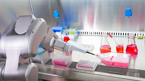 松山湖机器人365交付干细胞产品线,助推中国生命科学产业发展